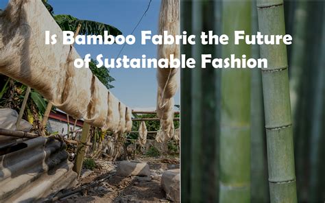  Bamboo Fiber: Reinventing Construction and Sustainable Fashion!