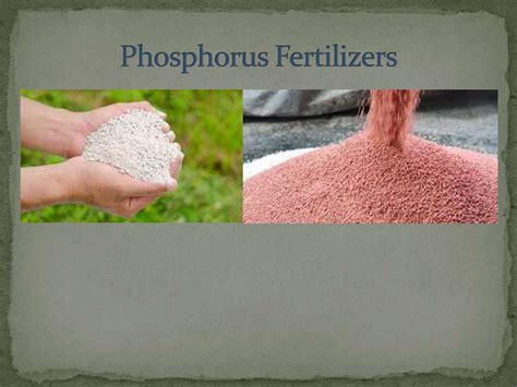 Phosphoric Acid: A Vital Component for Fertilizer Production and Industrial Applications!