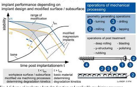 Magnesium Alloys for Biocompatible Implant Fabrication: Unleashing Strength and Longevity!