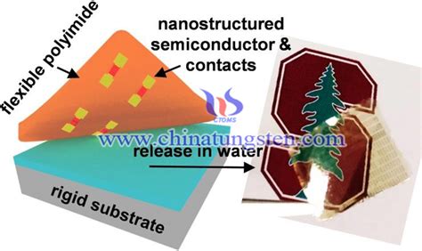  Molybdenum Disulfide: Unleashing the Potential for Flexible Electronics and Energy Storage Solutions?