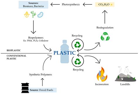  Polyhydroxyalkanoates: Revolutionizing Sustainable Bioplastic Production for Everyday Products!